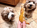 Dehydrated Whole Shrimp Treats for Dogs/Cats - Single Ingredient, All-Natural, Nutritious, Crunchy