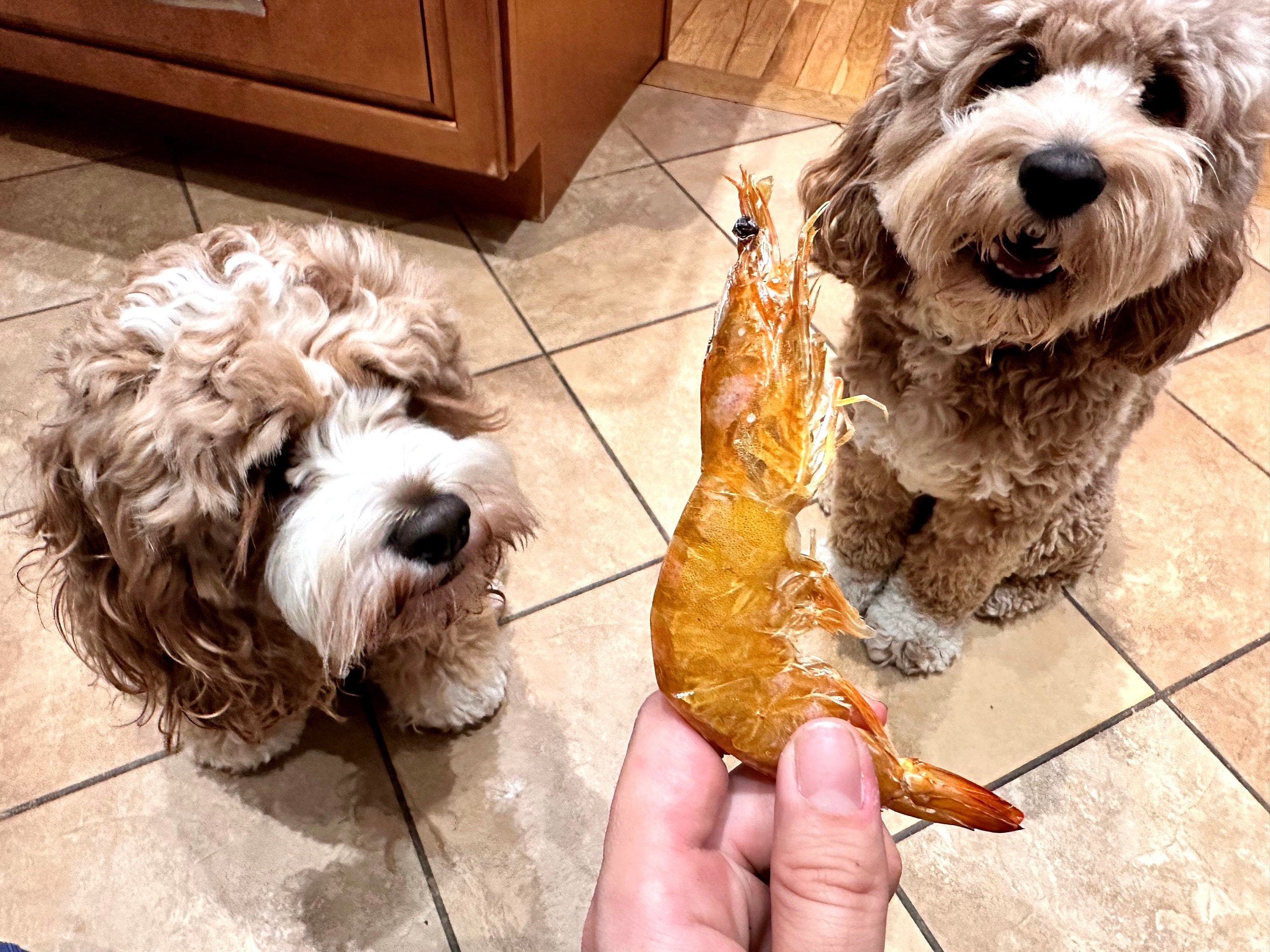 Dehydrated Whole Shrimp Treats for Dogs/Cats - Single Ingredient, All-Natural, Nutritious, Crunchy