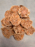 Chicken Lotus Root Cookies - healthy treats, all natural pure ingredients homemade dehydrated dog treats fresh air dried