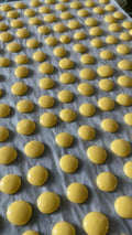 Crunchy Goat Milk & Egg Yolk Pet Treats: Dehydrated Mini Bites