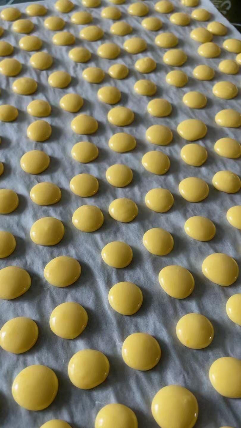 Crunchy Goat Milk & Egg Yolk Pet Treats: Dehydrated Mini Bites