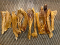 Dehydrated Beef Tendon Dog Chews: All-Natural, Single Ingredient Dental Treats