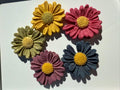 Daisy Flower Chicken Goat Cheese Goat Milk Cookies - Meal topper decoration dehydrated dog treats cat treats all natural healthy homemade